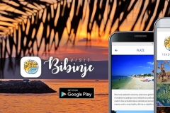 facebook1