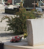 Leo011