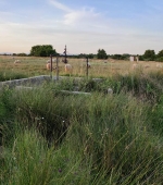 201573497_10158500909637686_199382783221439352_n