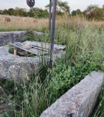 202221674_10158500909597686_8053025414135918321_n