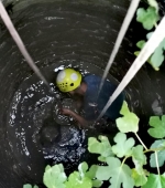 202356886_10158500911292686_5493860109937706278_n